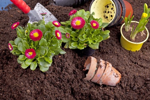 Gardeners in South Wimbledon working on a neat and healthy garden