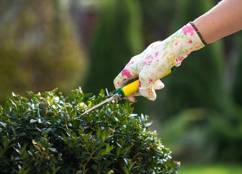 Local South Wimbledon garden maintenance with seasonal care