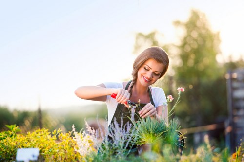 Seasonal garden upkeep in a South Wimbledon outdoor space