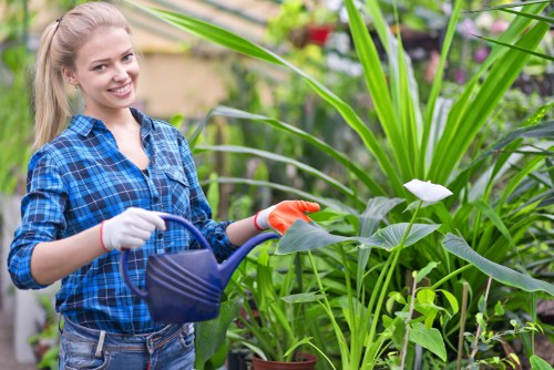 Gardeners South Wimbledon pricing for a tidy residential front garden