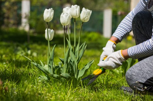 Gardener working in a South Wimbledon garden