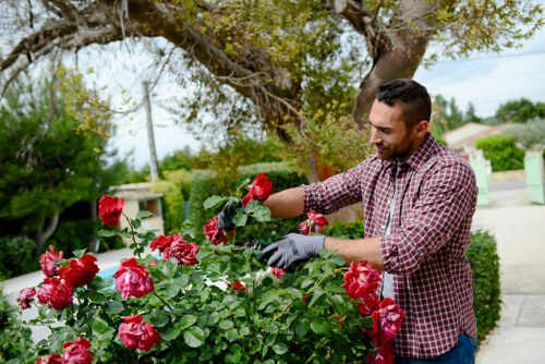 Secure payment setup for Gardeners South Wimbledon