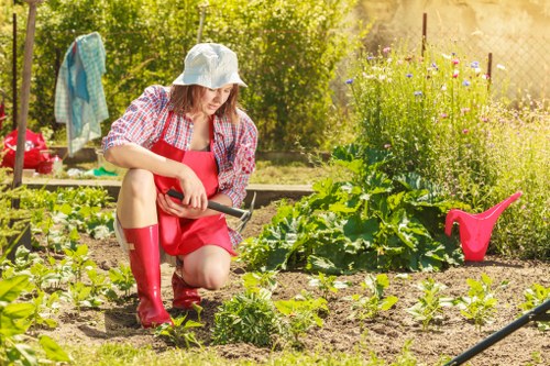 Professional lawn mowing for a tidy South Wimbledon property