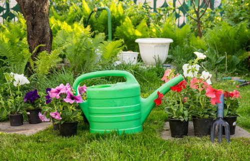 Gardening services maintaining a South Wimbledon home garden