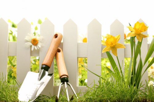 Lawn and border maintenance in South Wimbledon garden