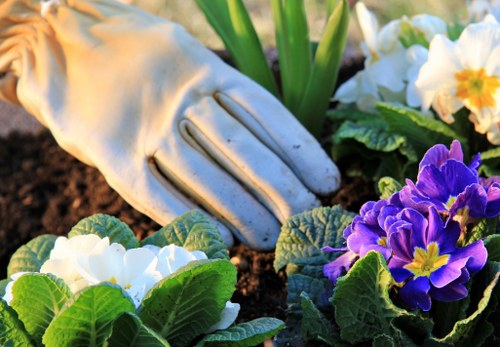 Low-carbon van used for sustainable garden maintenance