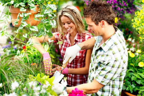 Seasonal garden maintenance in South Wimbledon