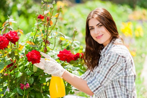 Example garden maintenance quote for a South Wimbledon family home
