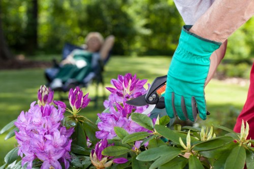 Sustainable planting and hard landscaping in South Wimbledon