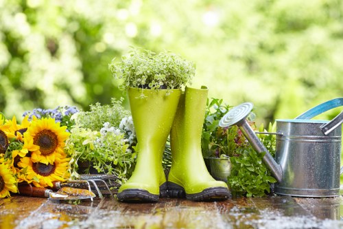Seasonal lawn care work in South Wimbledon garden setting