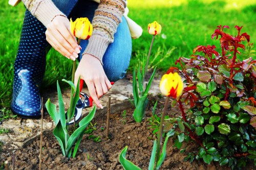 Seasonal planting scheme for a South Wimbledon garden with shrubs and flowers