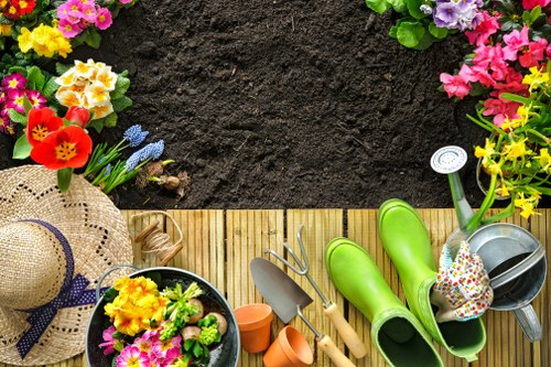 Professional lawn care treatment for South Wimbledon outdoor space