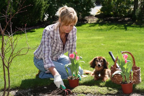 Tidy outdoor space after professional garden clearance