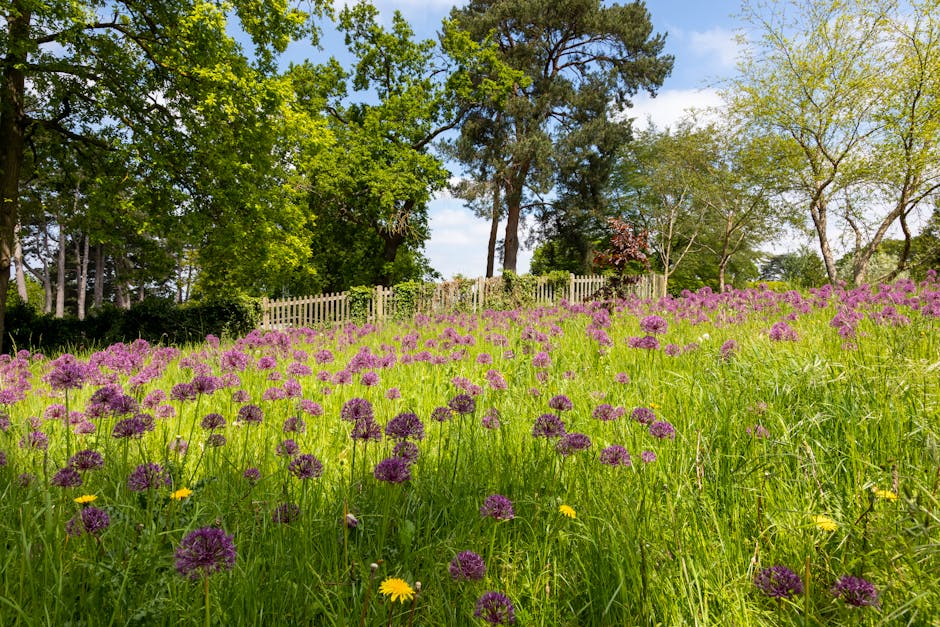 A lush garden scene on a bright spring day, featuring a vibrant meadow filled with purple allium flowers and scattered yellow daisies, bordered by a variety of trees with fresh green foliage. In the b
